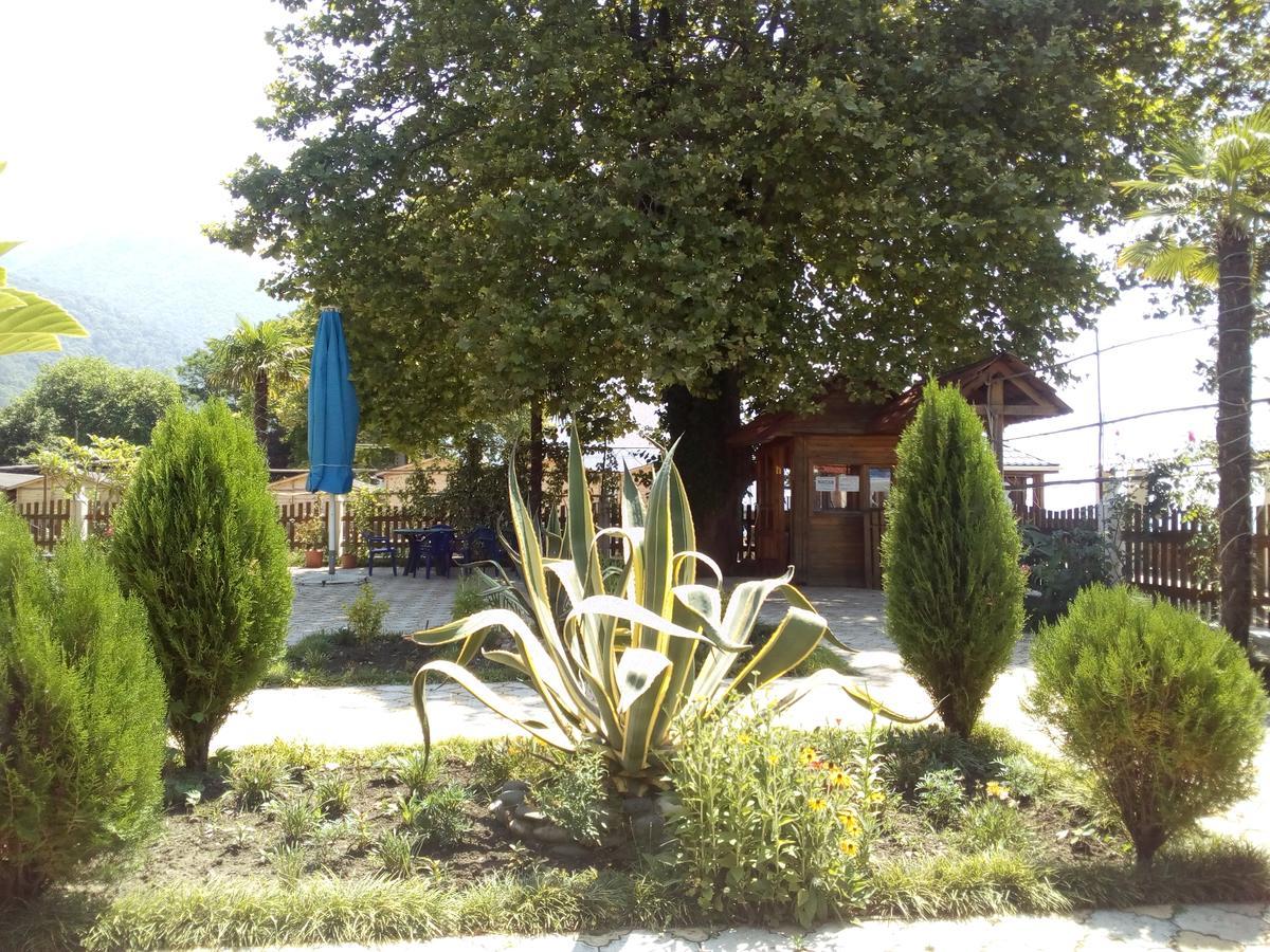 Старые Гагры Gagra Dış mekan fotoğraf